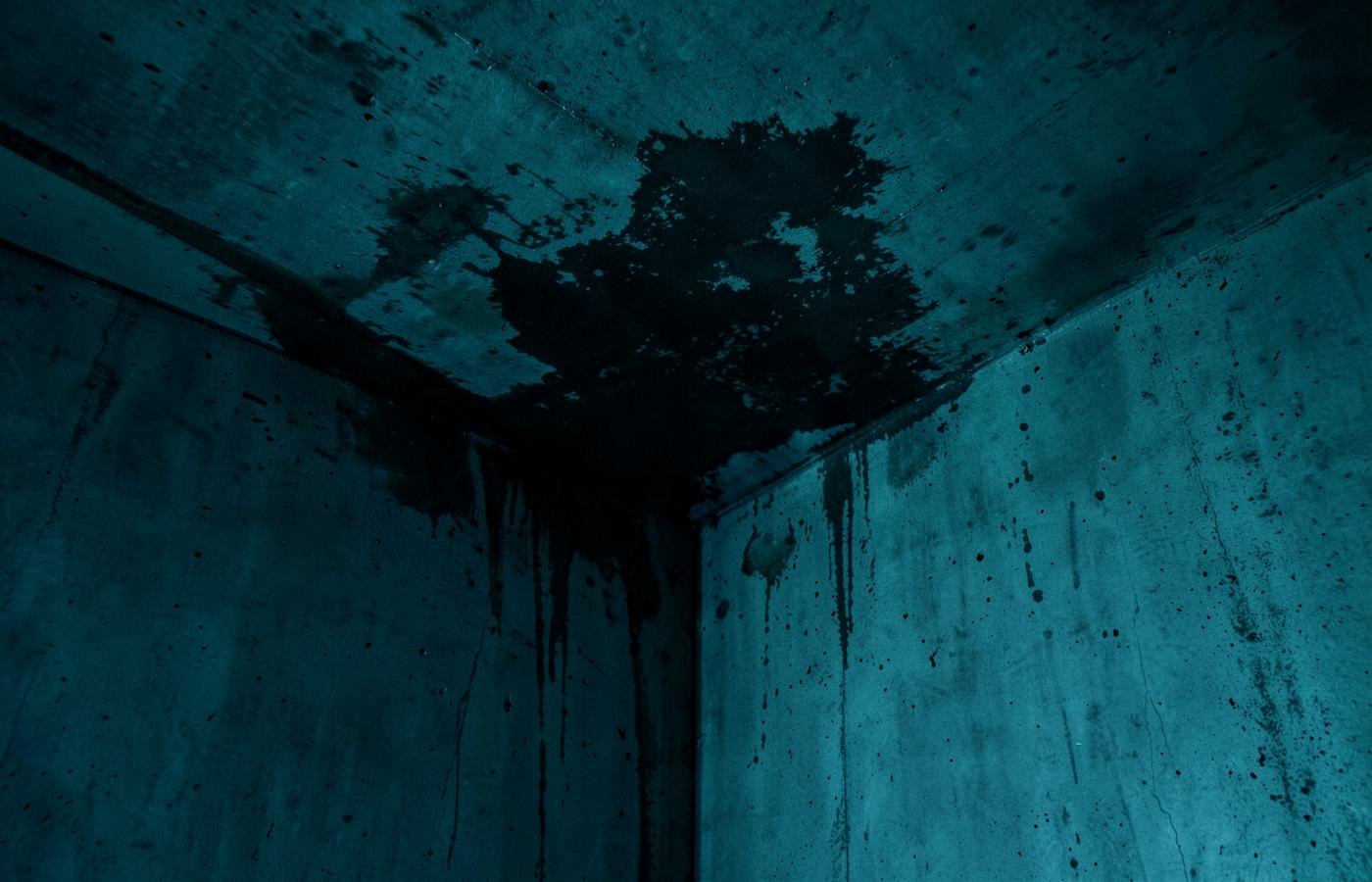 Infiltration d'eau visible sur un plafond et un mur en béton