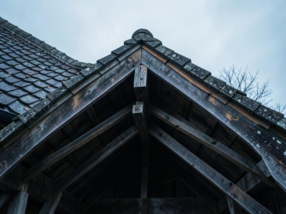 Charpente et couverture d'une toiture vue en contre-plongée